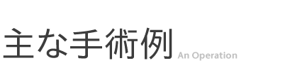 主な手術例